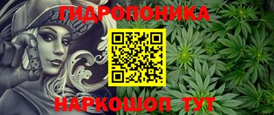 спиды Будённовск
