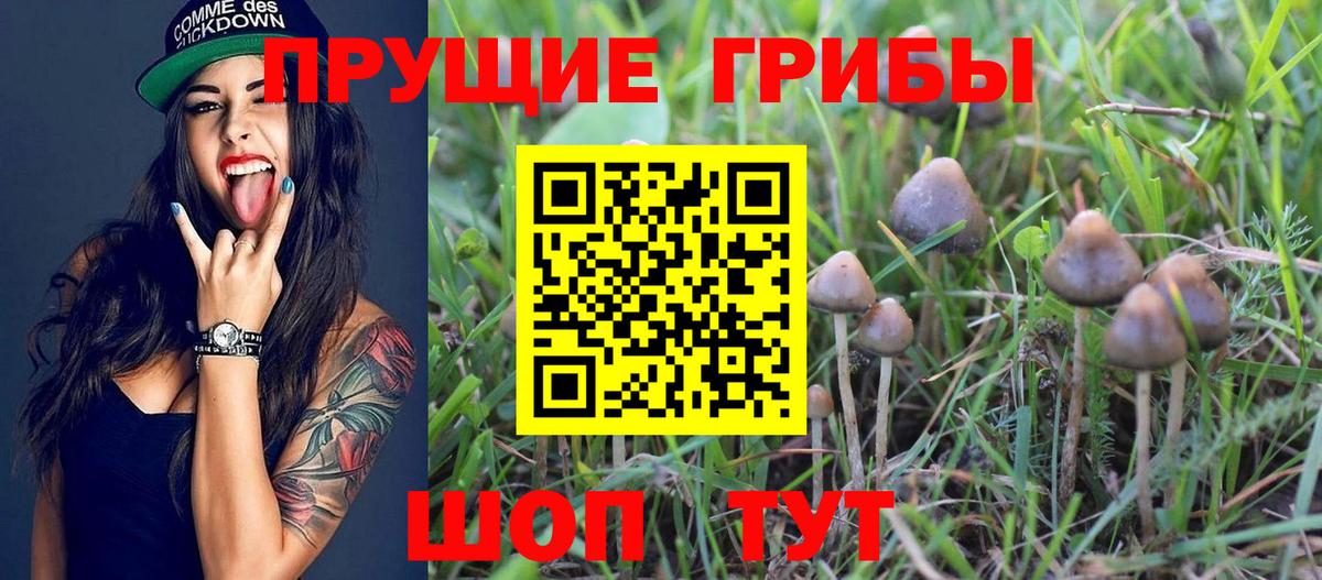 Балабаново  Галлюциногенные грибы прущие грибы  Псилоцибиновые грибы прущие грибы  Вход с VPN 